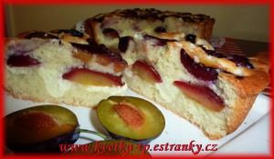 svestkovy-dvouvrstvy-kolac--rez.jpg